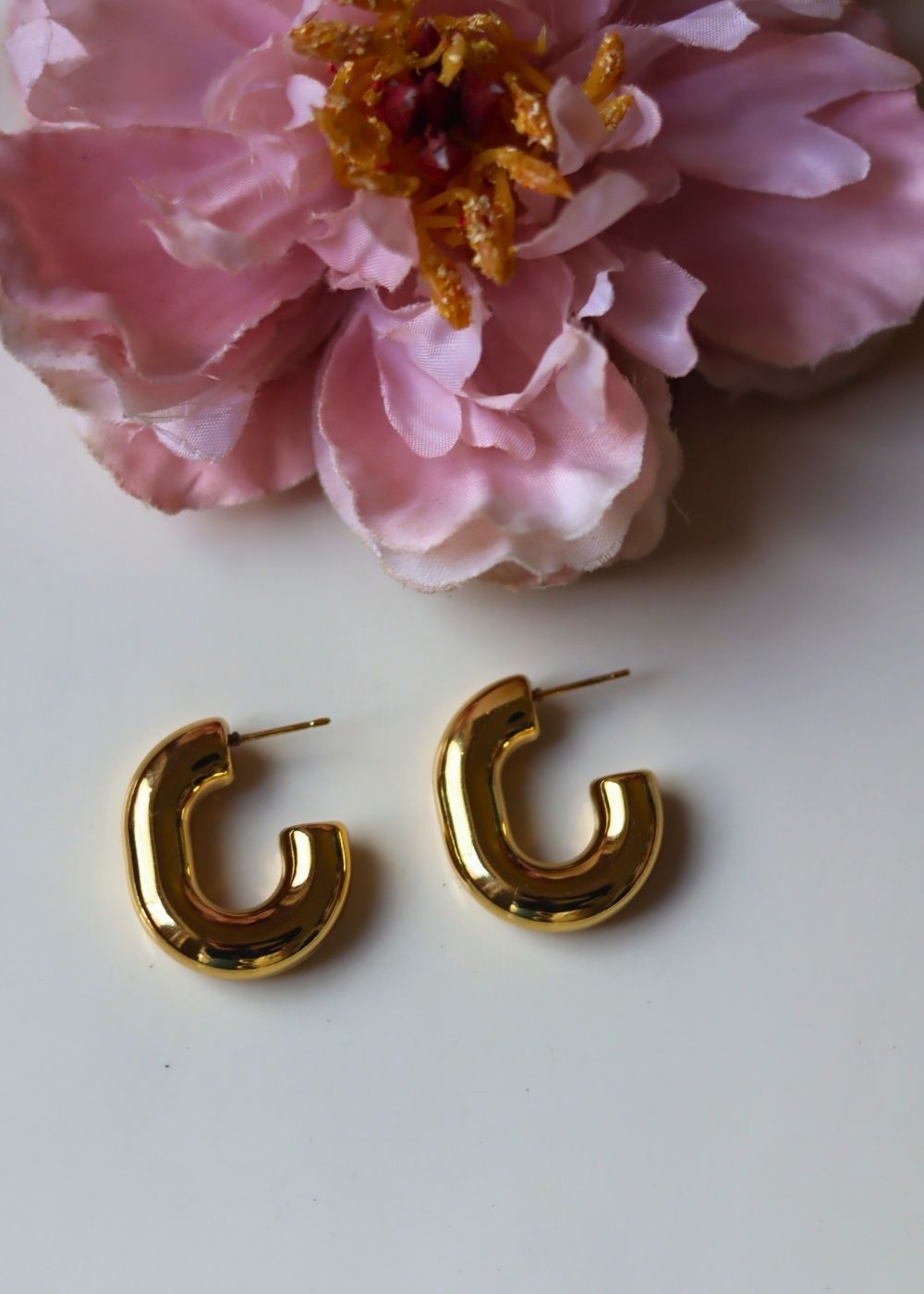 Hypoallergic Chunky Hoop earrings