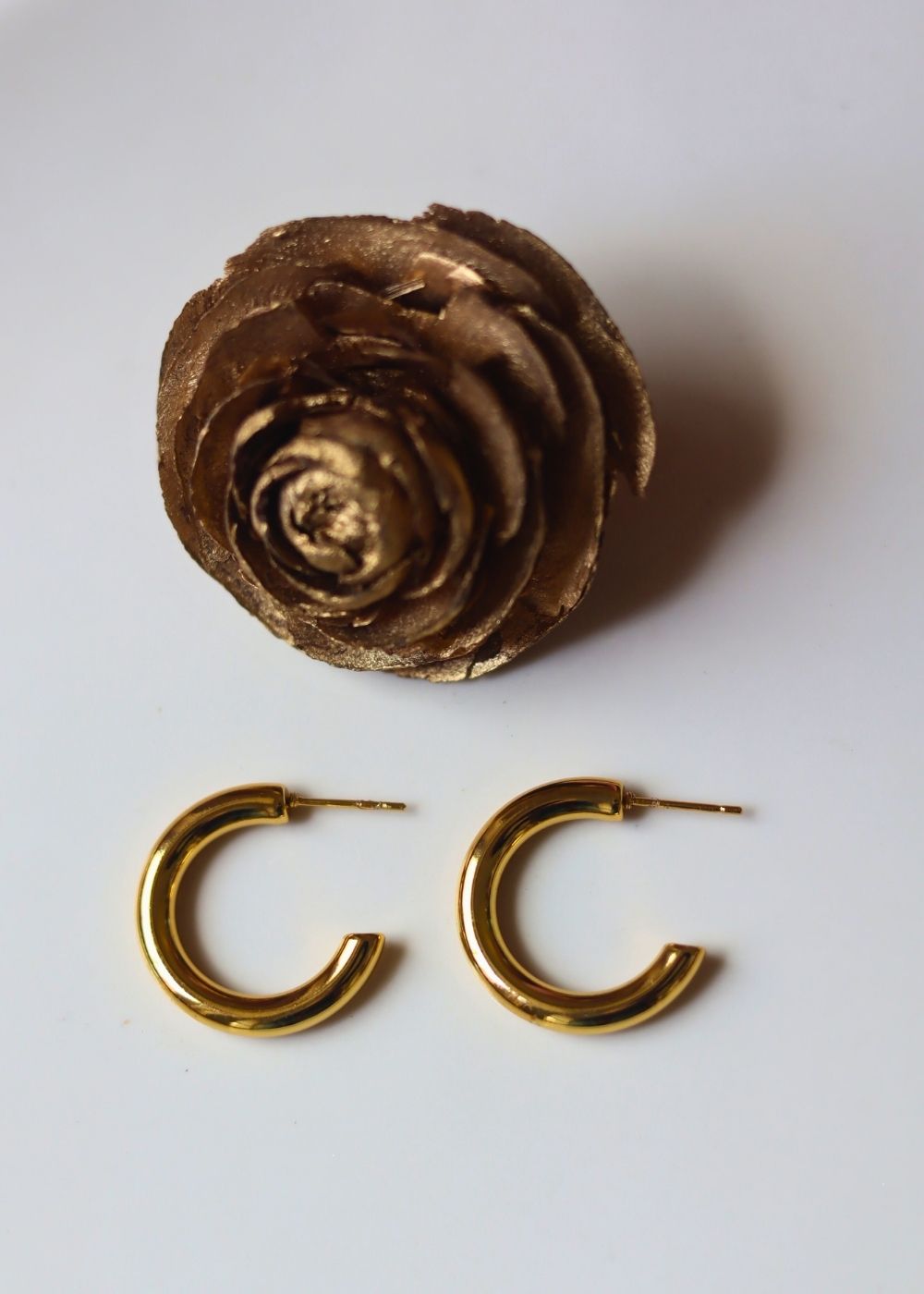 Hypoallergic everyday earrings - small