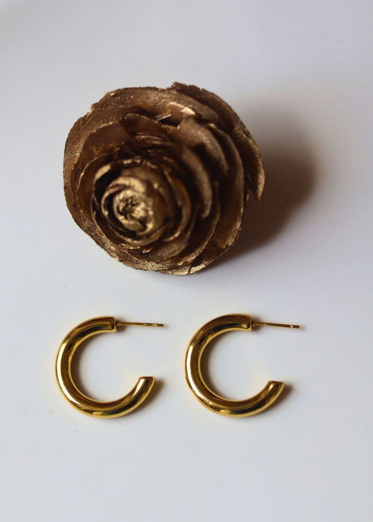 Hypoallergic everyday earrings - small