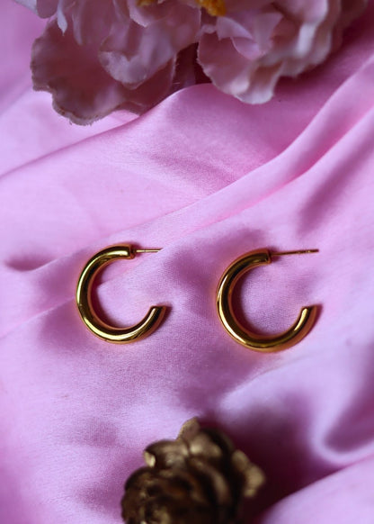 Gold Plated everyday earrings - small