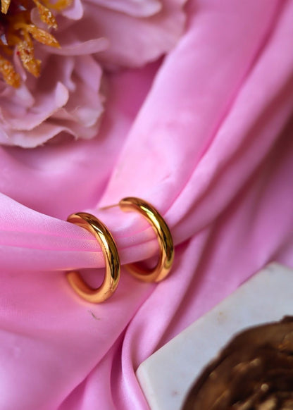 Hypoallergic everyday earrings - small