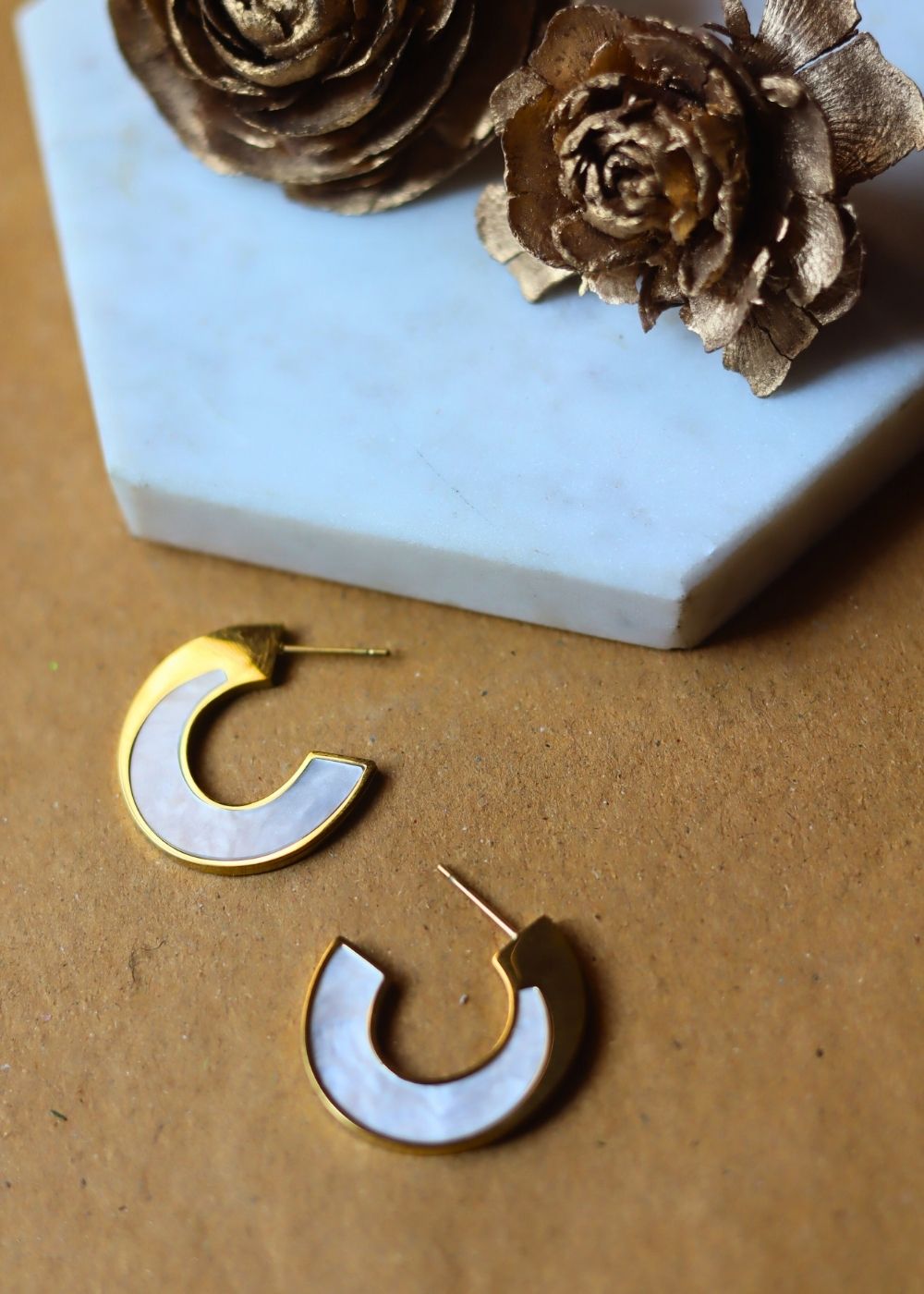 Hypoallergic Curvy Resin Earrings